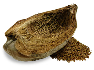 coconut husk fiber and fragments