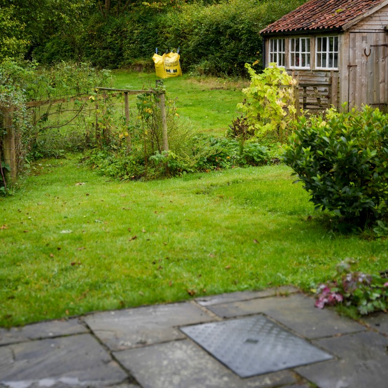 final-landscaping-768x768.jpg Grass growing on a septic system installation area.