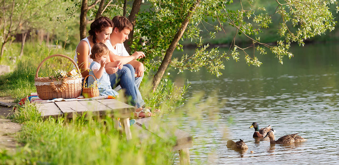 Padres jóvenes y su hija en un picnic y alimentando patos en la ribera verde de un río o lago.