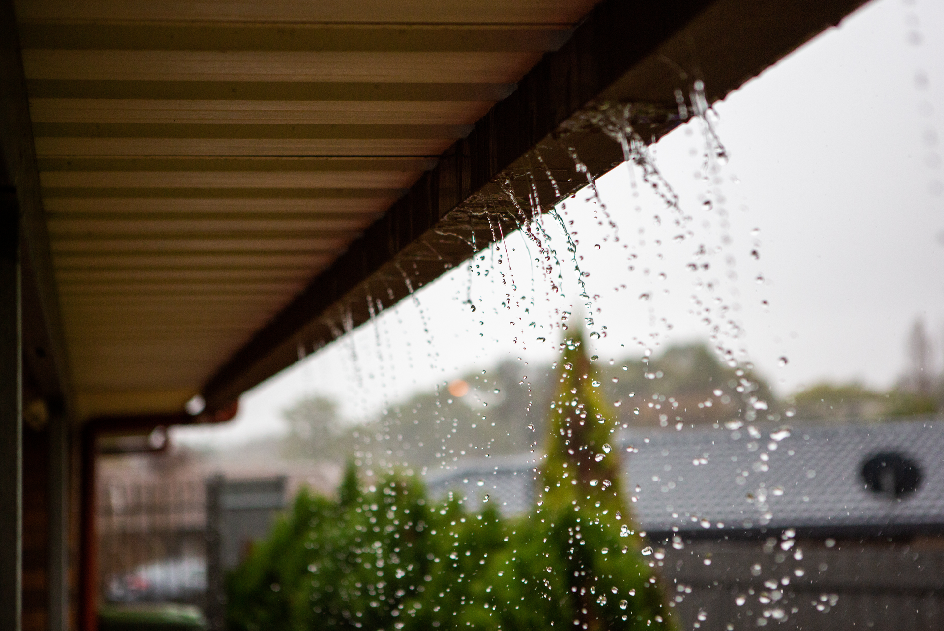 récupération eau de pluie