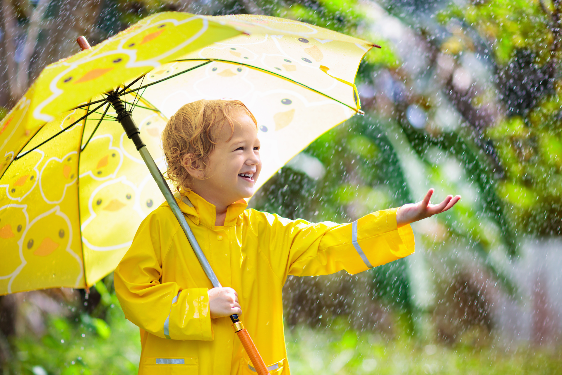 Comment et pourquoi récupérer l'eau de pluie - Jardin Pro - Centre