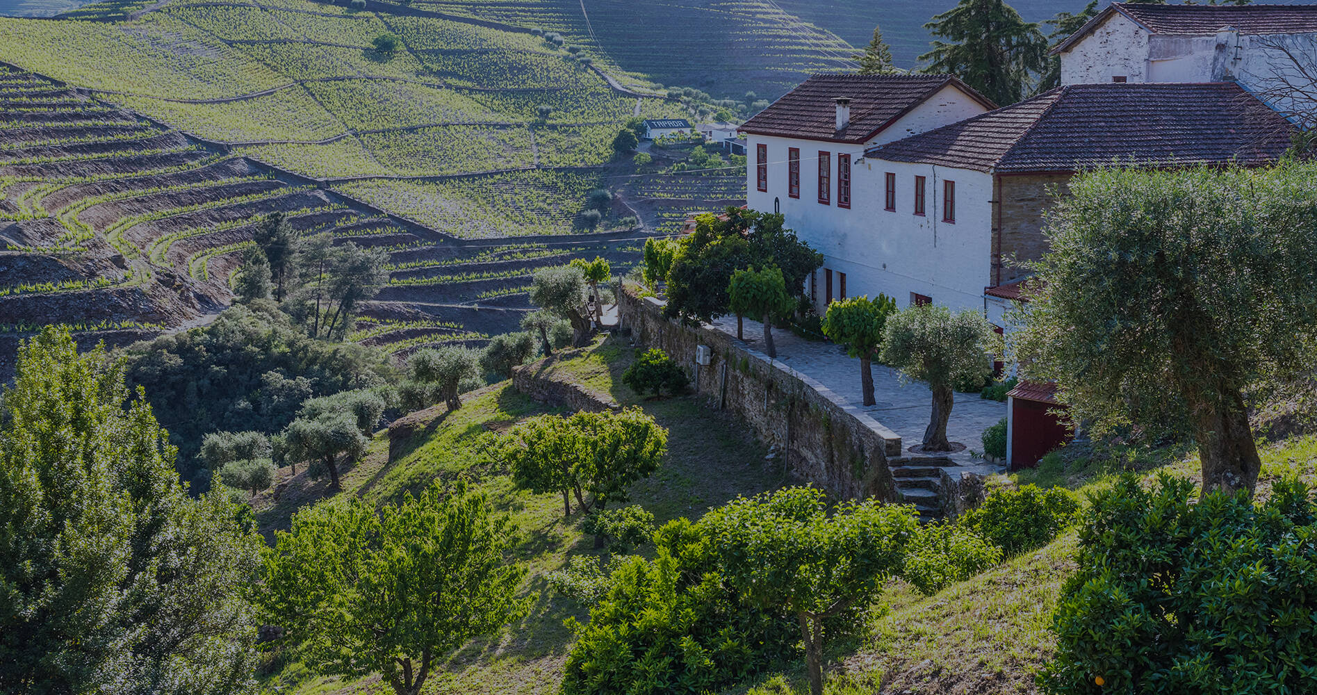 House in a mountainous rural area in Portugal.