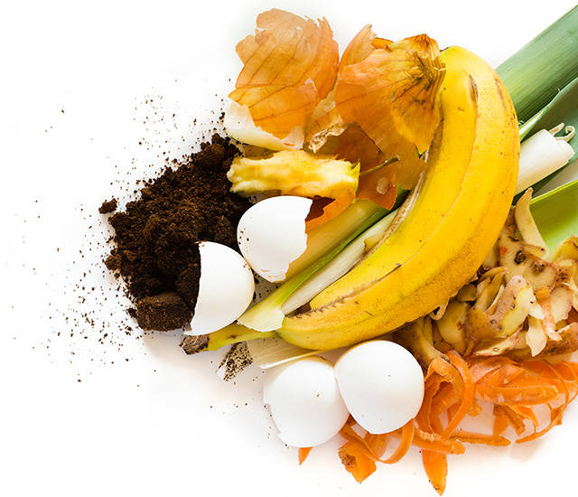 Organic waste, including banana peels, carrot peels, and apple cores.