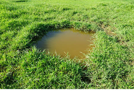 L'eau d'une installation septique qui fuit s'accumule sur le couvercle d'une fosse septique.