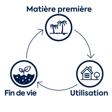 Cycle de vie du coco utilisé dans le biofiltre Ecoflo.